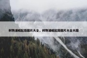 利物浦崛起路图片大全，利物浦崛起路图片大全大图