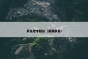 莫莫歌手回放（莫莫歌曲）