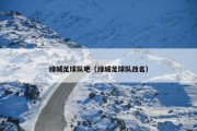 绿城足球队吧（绿城足球队改名）