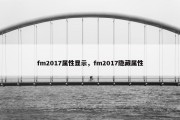 fm2017属性显示，fm2017隐藏属性