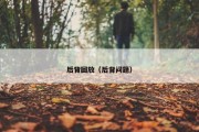 后背回放（后背问题）