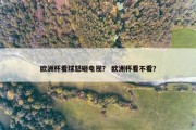 欧洲杯看球怒砸电视？ 欧洲杯看不看？