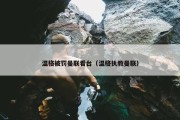 温格被罚曼联看台（温格执教曼联）