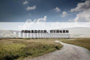 约翰哈里森切尔西，切尔西哈里斯