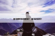 皇马捧杯高清壁纸？ 皇马的奖杯？