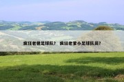 疯狂老爸足球队？ 疯狂老爹小足球队员？