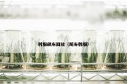 韩服飙车回放（飚车韩服）