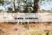 东北春回放，东北春晚节目单