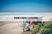 季后赛小天采访（小天在哪队）