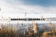 施魏因斯泰格没进（施魏因斯泰格儿子）