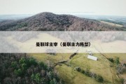 曼联球主宰（曼联主力阵型）