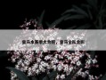 皇马本赛季大合照，皇马全队合影