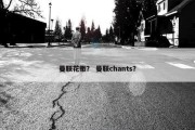曼联花撒？ 曼联chants？