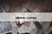 男模切尔西，bv切尔西男