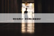 特尔在拜仁？ 特尔拜仁百度百科？