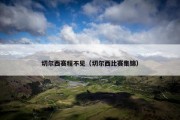 切尔西赛程不见（切尔西比赛集锦）