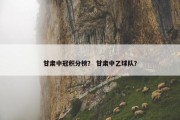 甘肃中冠积分榜？ 甘肃中乙球队？