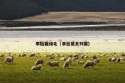 季后赛绿毛（季后赛系列赛）