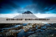 纽尔卡斯vs切尔西？ 纽卡斯尔vs切尔西预测比分？