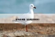 球衣欧洲版（欧洲篮球球衣）