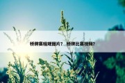 桥牌赛程规图片？ 桥牌比赛视频？