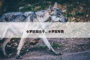 小罗欧冠几个，小罗冠军数