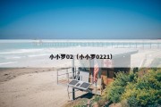 小小罗02（小小罗0221）