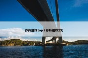 乔丹进球top（乔丹进球23）