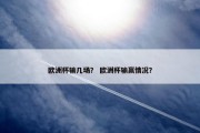 欧洲杯输几场？ 欧洲杯输赢情况？