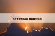 韩日吉祥物动画片（韩国吉祥动物）