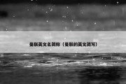 曼联英文名简称（曼联的英文简写）