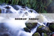森纳后腰全部？ 阿森纳后位？