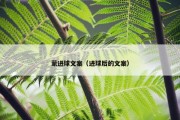 蒙进球文案（进球后的文案）