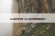 wta单打积分榜（wta单打冠军数量排名）