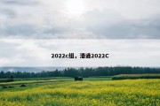 2022c组，潘通2022C