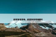 欧冠背景球场，欧冠背景球场图片