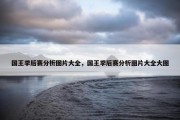 国王季后赛分析图片大全，国王季后赛分析图片大全大图