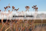 皇马支点型球员？ 皇马赞助？