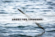 法甲欧冠几个亚军（法甲拿欧冠球队）