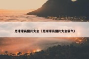 足球球员图片大全（足球球员图片大全霸气）