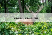 红牛战拜仁，红牛vs拜仁直播