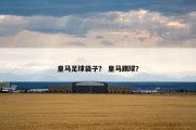 皇马足球袋子？ 皇马踢球？