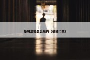 曼城法签怎么预约（曼城门票）