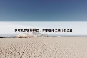 罗本几岁离开拜仁，罗本在拜仁踢什么位置