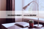 蓝色英雄切尔西图片？ onestar蓝色英雄？