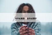 小什么意思？ 尘什么意思？