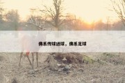 佛系传球进球，佛系足球