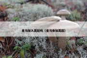 皇马加入英超吗（皇马参加英超）