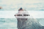 wrc塞恩斯，赛恩斯f1