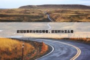 欧冠联赛积分榜在哪看，欧冠积分怎么看